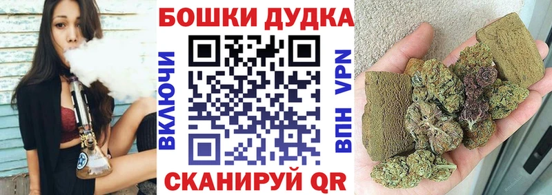 Конопля план  Купить где  Бабушкин 